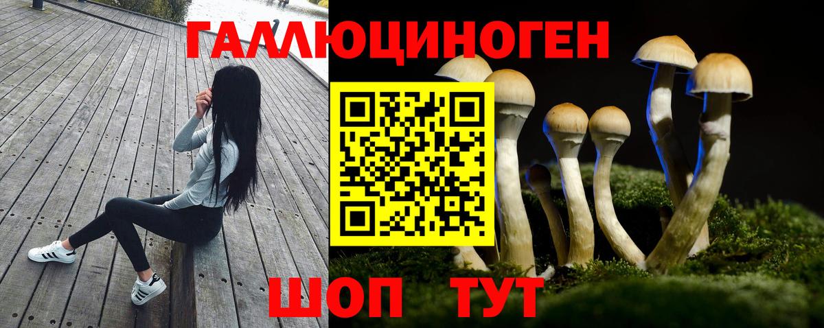 Псилоцибиновые грибы GOLDEN TEACHER  Вход с VPN  Псилоцибиновые грибы Psilocybe  Янаул 